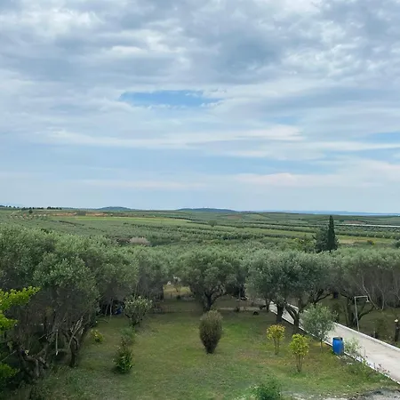 Villa Mediterranean Escape