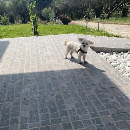 Mediterranean Escape Vilă Flogita