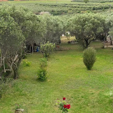 Mediterranean Escape Vilă